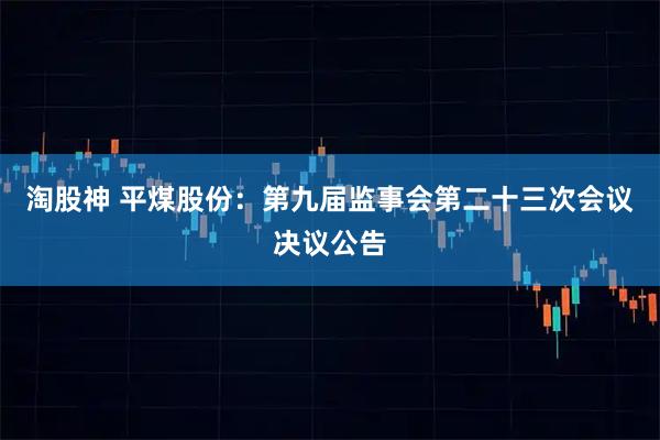 淘股神 平煤股份：第九届监事会第二十三次会议决议公告