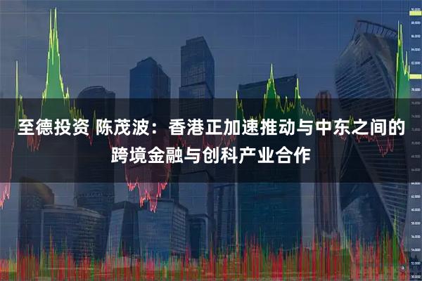 至德投资 陈茂波：香港正加速推动与中东之间的跨境金融与创科产业合作