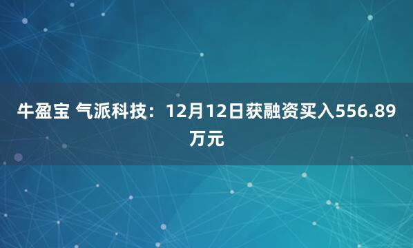 牛盈宝 气派科技：12月12日获融资买入556.89万元