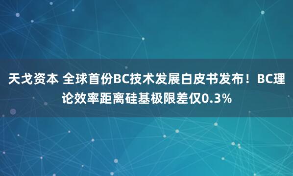 天戈资本 全球首份BC技术发展白皮书发布！BC理论效率距离硅基极限差仅0.3%